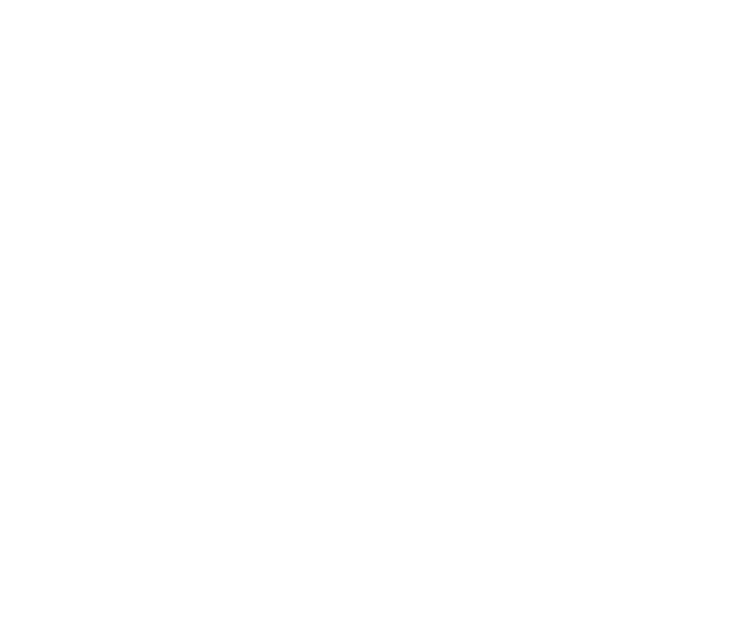 Official logo of ScanShield AI